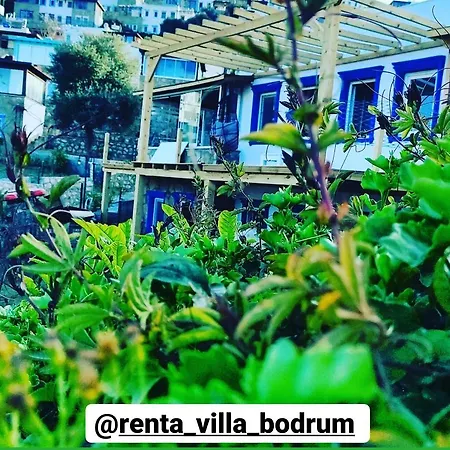 Rentavill Zeus 빌라